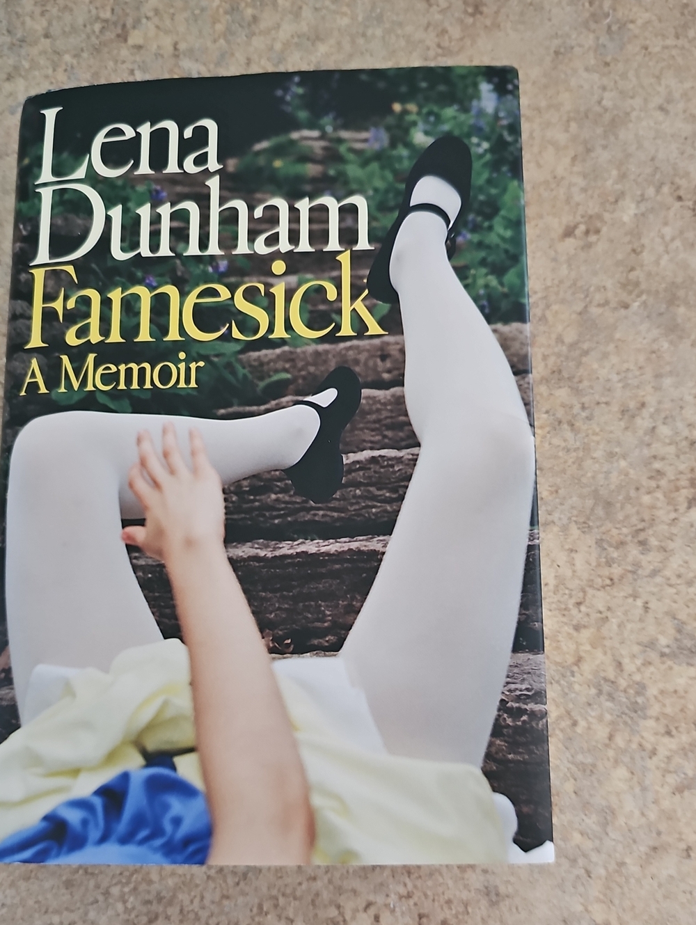 Lena Dunham's Famesick, A Memoir Book
